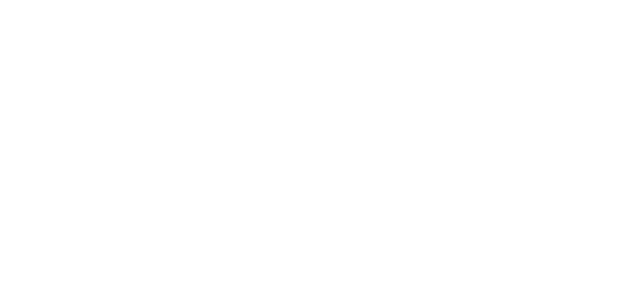 Air21 Logo